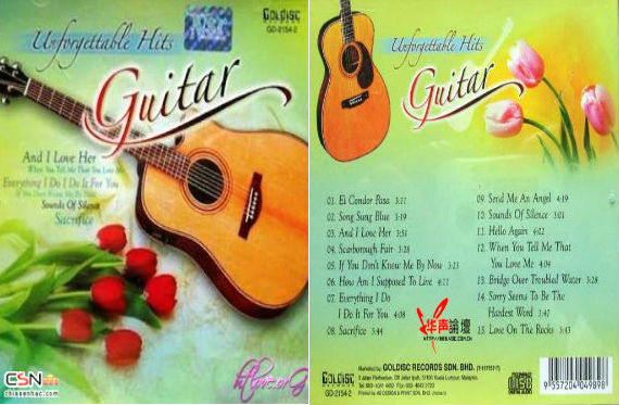 Unforgettable Hits Guitar